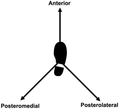 Effect of acute ankle experimental pain on lower limb motor control assessed by the modified star excursion balance test